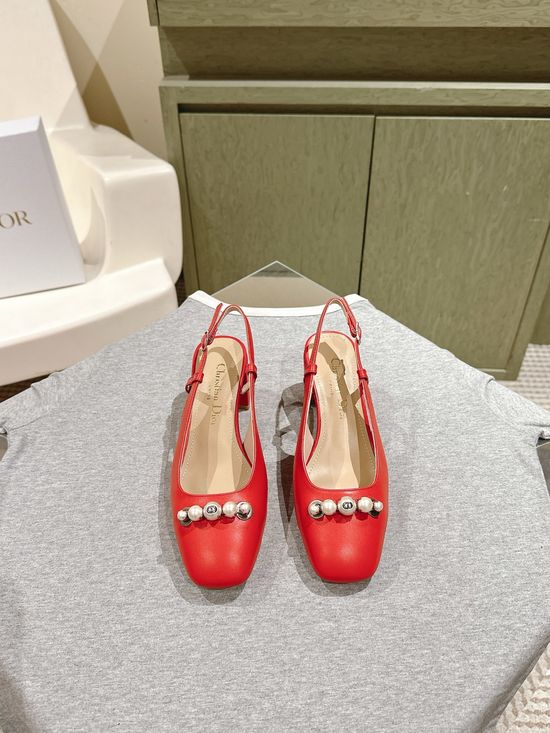 Christian Dior Elegant Mary Jane Thick Heel Shoes