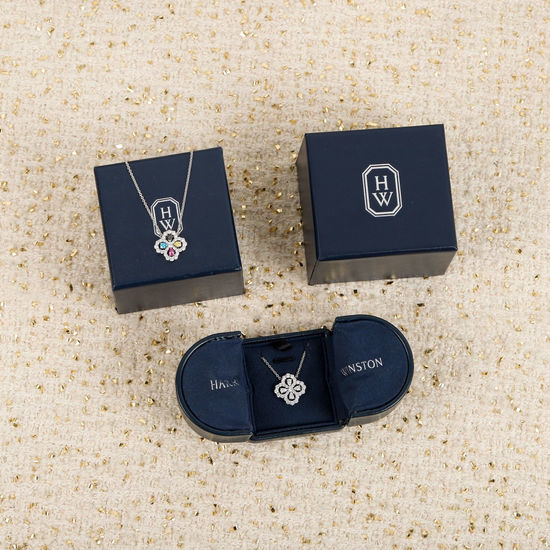 Harry Winston Waterdrop Diamond Pendant Necklace